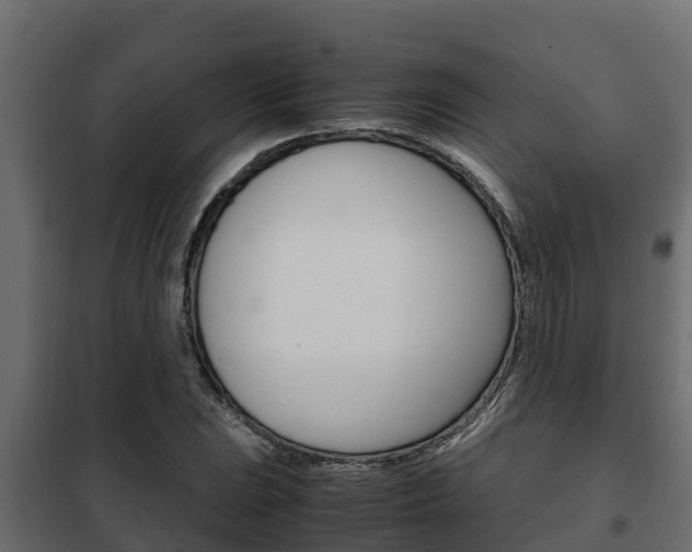 X0000102471023200808081004