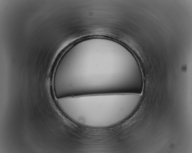X0000102471024200808081004