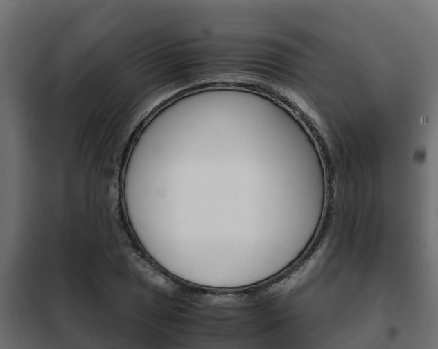 X0000102471025200808081004