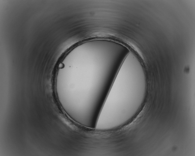 X0000102471026200808081004