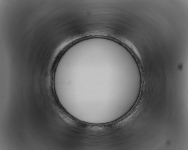 X0000102471027200808081004