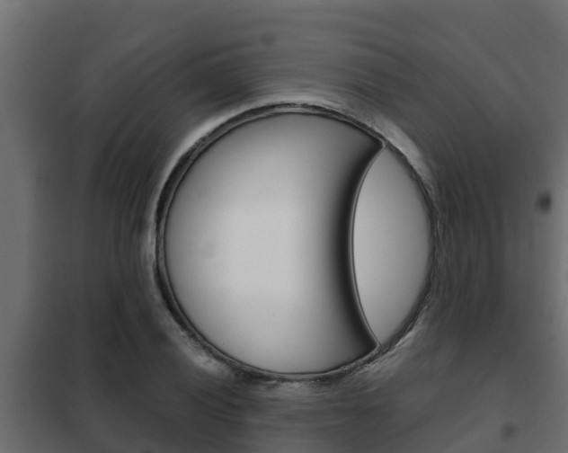 X0000102471028200808081004