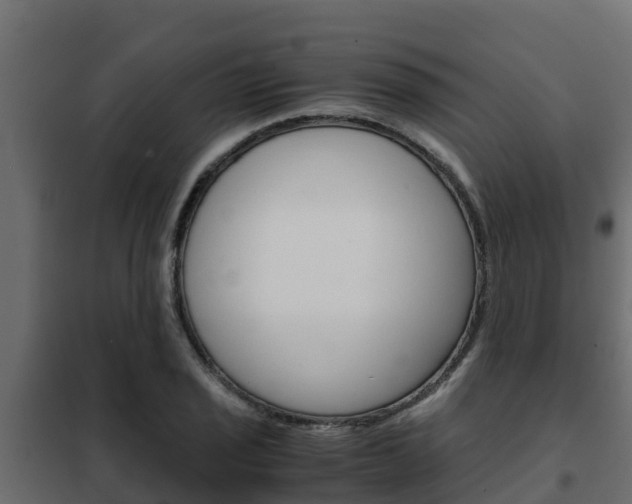 X0000102471029200808081004