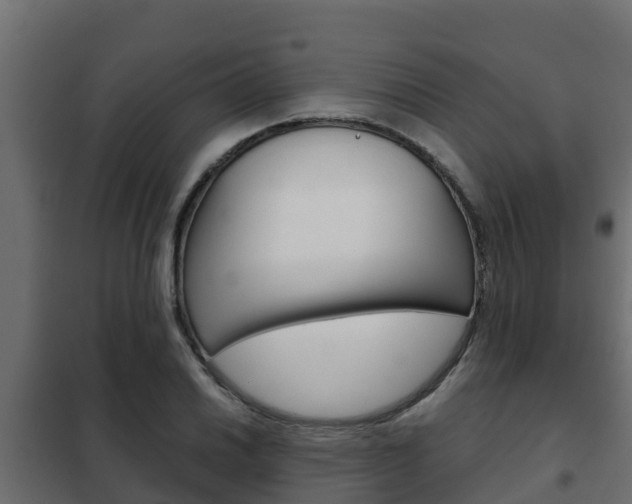 X0000102471030200808081004