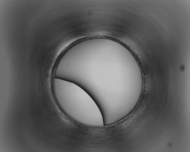 X0000102471031200808081004