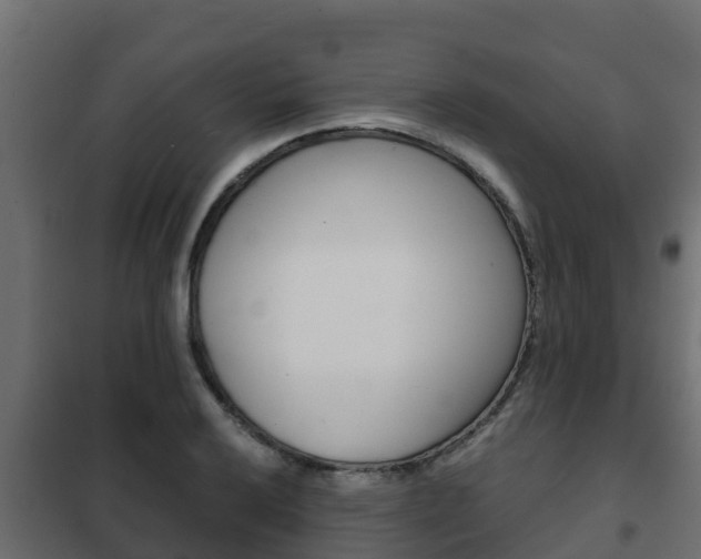 X0000102471032200808081004