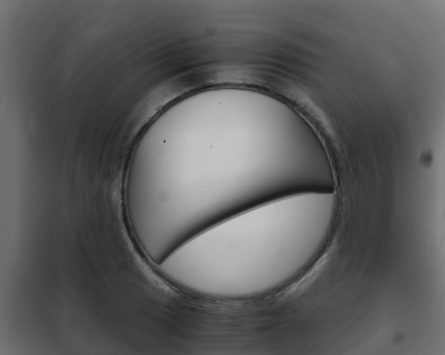 X0000102471033200808081004