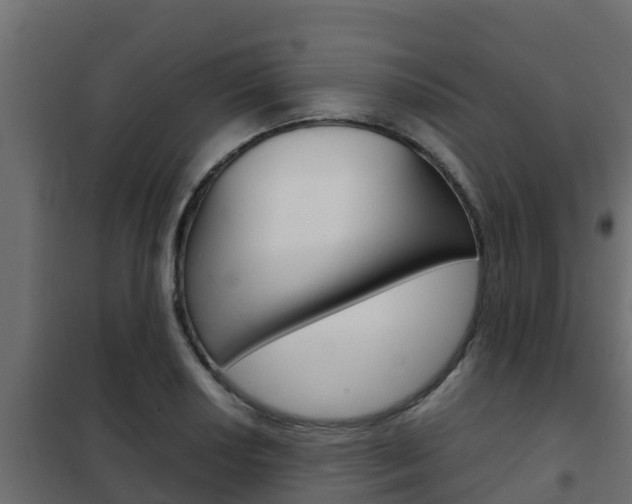 X0000102471034200808081004
