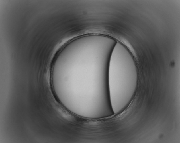 X0000102471035200808081004