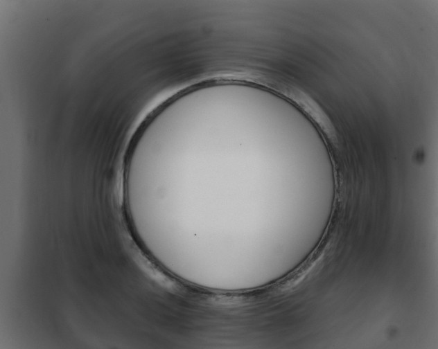 X0000102471036200808081004