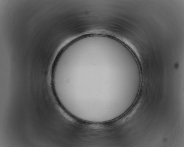 X0000102471037200808081004