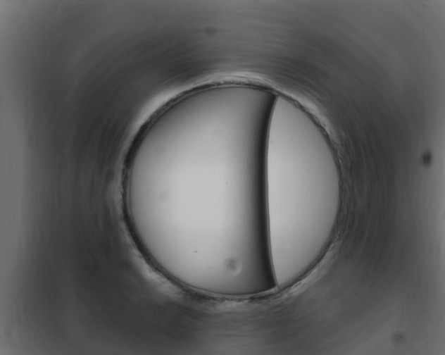 X0000102471038200808081005