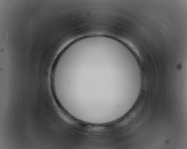 X0000102471039200808081005