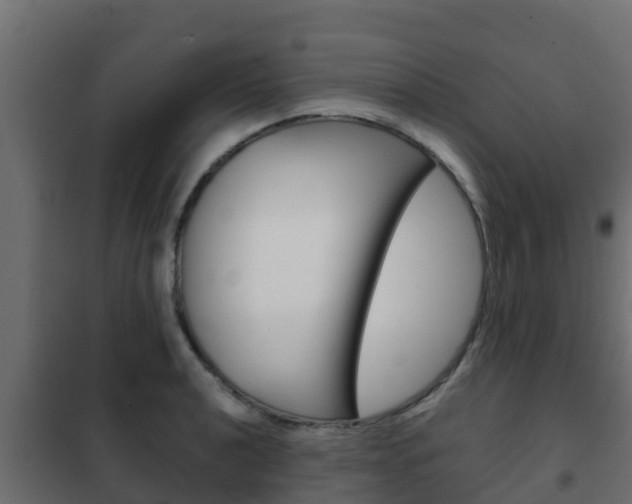 X0000102471040200808081005