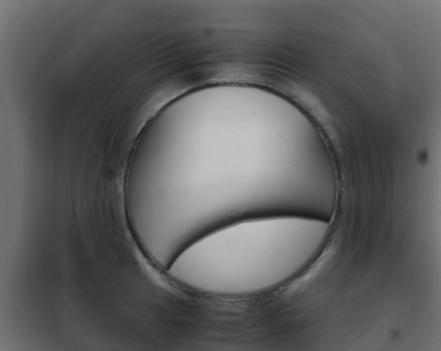 X0000102471041200808081005