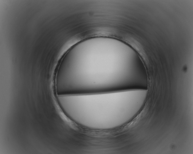 X0000102471042200808081005