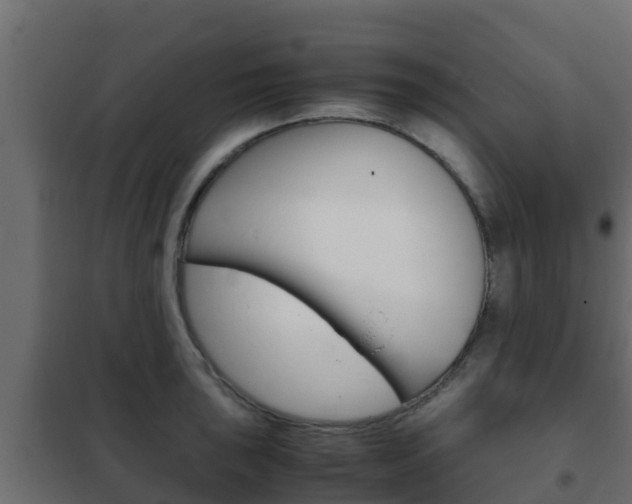 X0000102471043200808081005