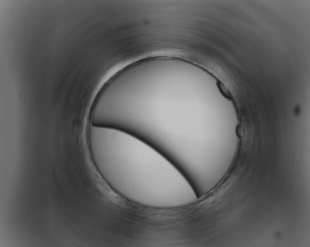 X0000102471044200808081005