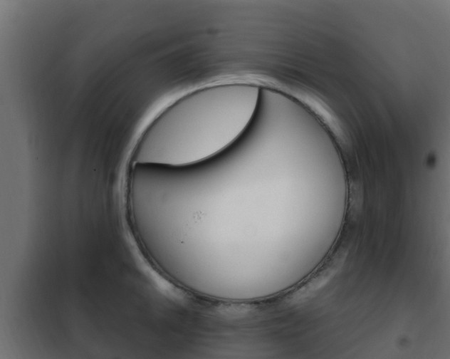 X0000102471046200808081005