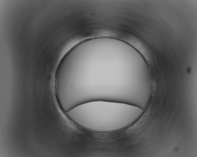 X0000102471047200808081005