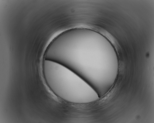 X0000102471048200808081005