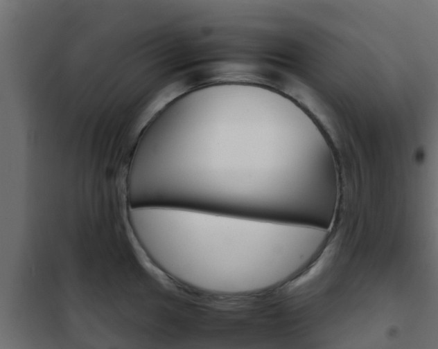 X0000102471049200808081005