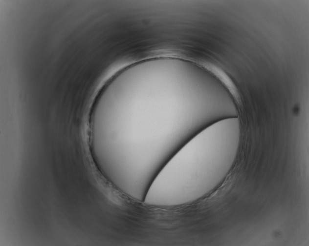 X0000102471051200808081005