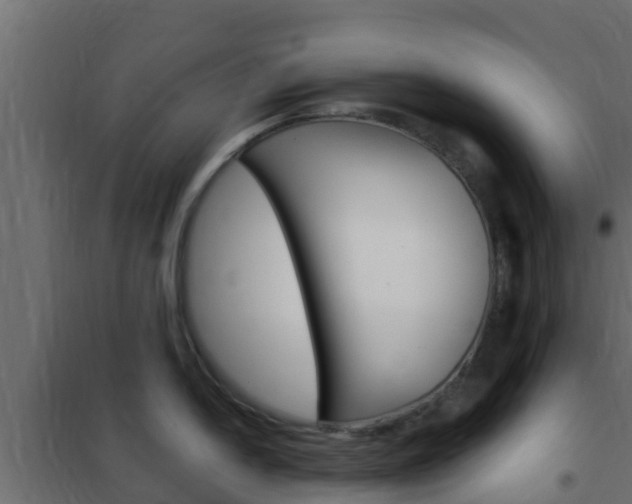 X0000102471054200808081005