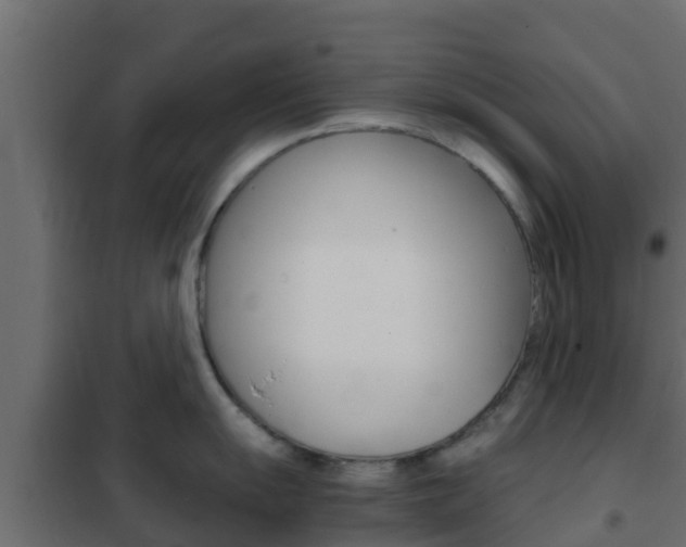 X0000102471055200808081005