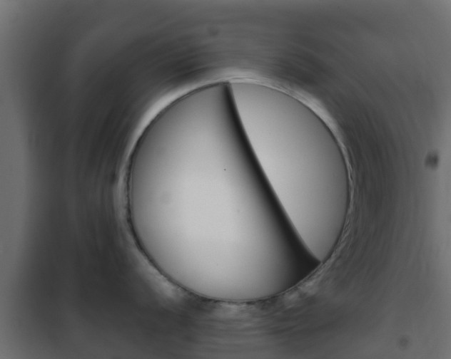 X0000102471056200808081005