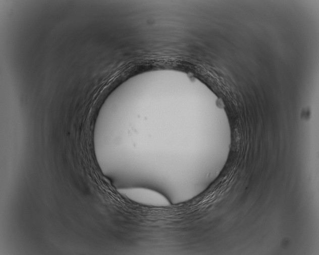 X0000102471057200808081004