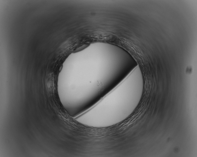 X0000102471058200808081004