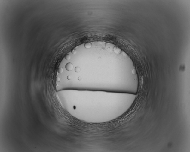 X0000102471059200808081004