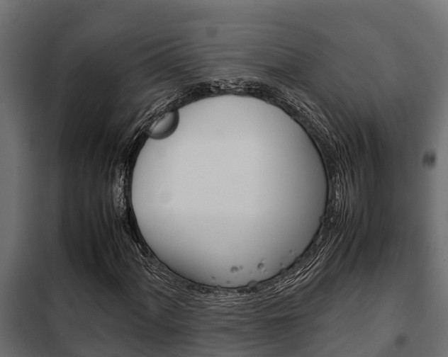 X0000102471060200808081004