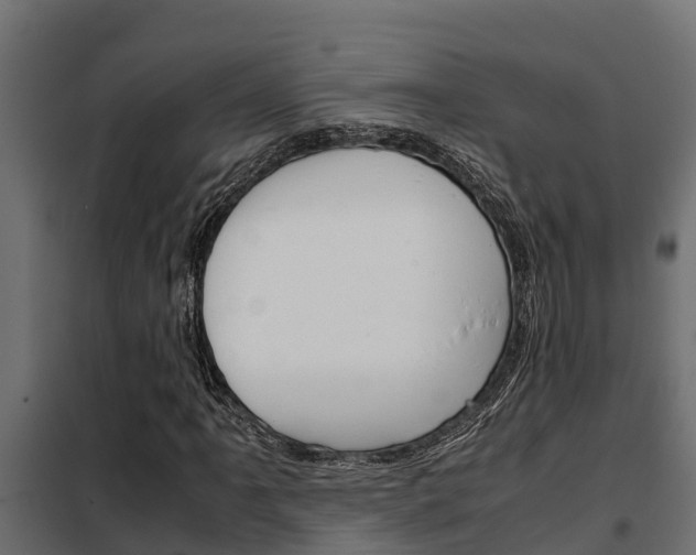 X0000102471061200808081004