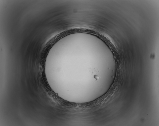X0000102471064200808081004