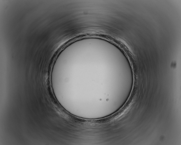 X0000102471065200808081004