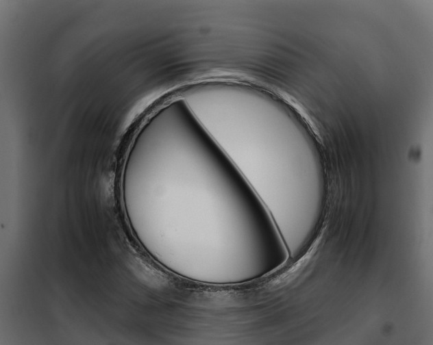 X0000102471066200808081004