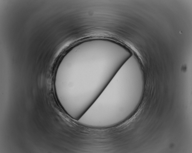 X0000102471067200808081004