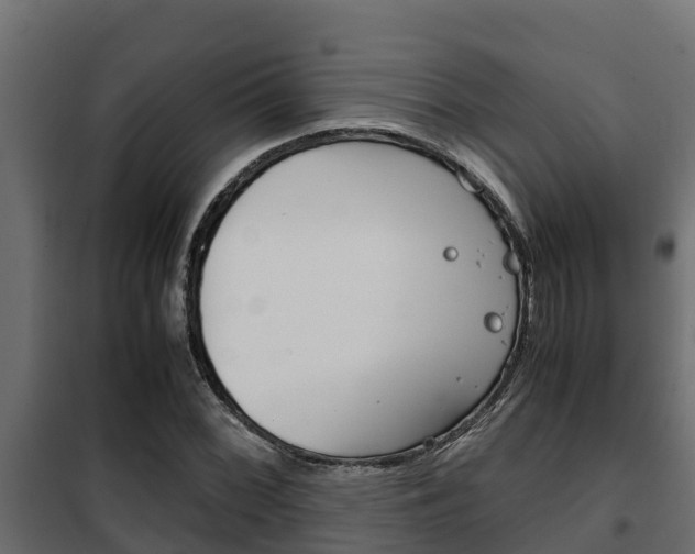 X0000102471068200808081004