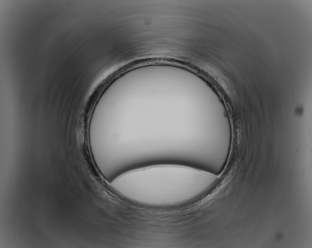 X0000102471069200808081004
