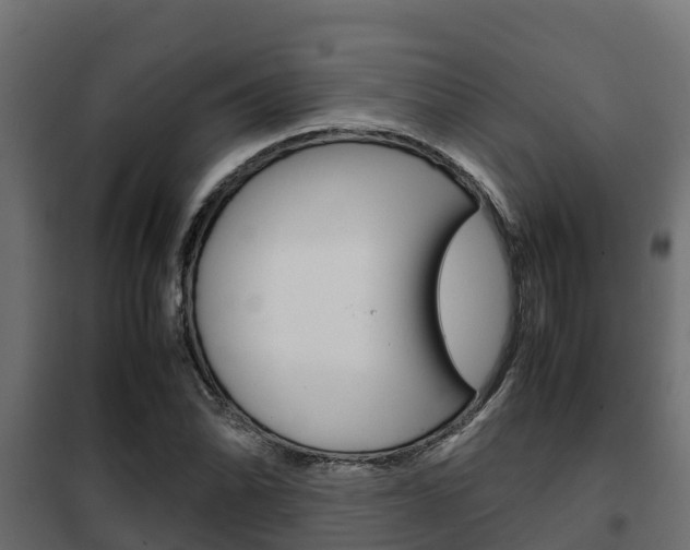 X0000102471070200808081004