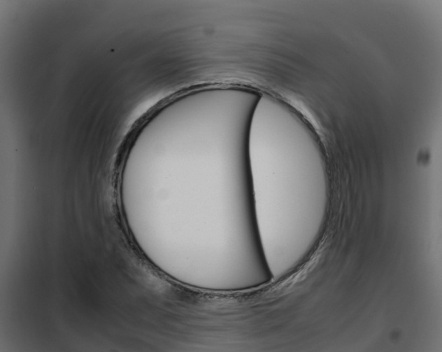 X0000102471071200808081004
