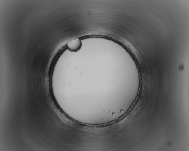X0000102471072200808081004