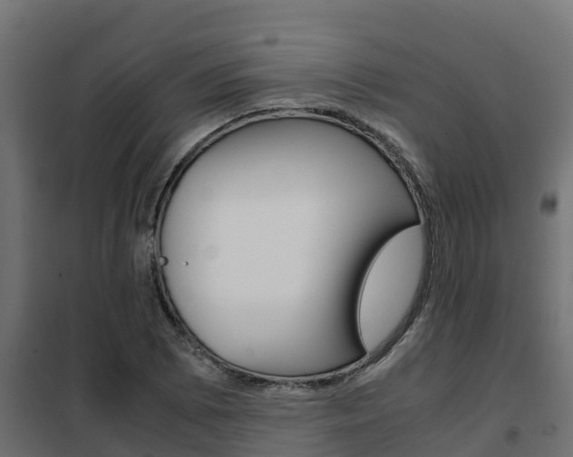 X0000102471073200808081004