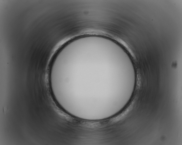 X0000102471074200808081004