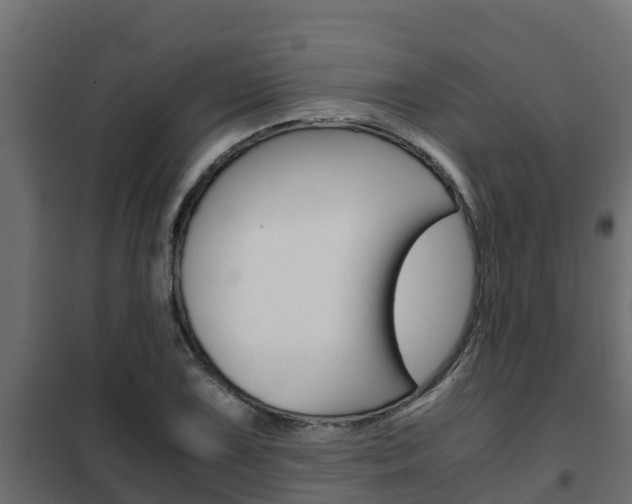 X0000102471075200808081004