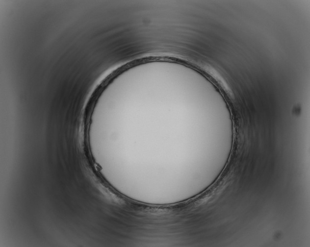 X0000102471076200808081004