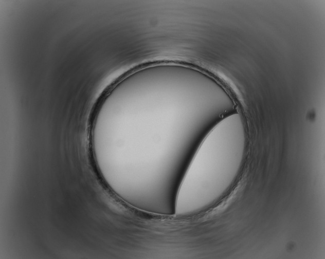 X0000102471077200808081004
