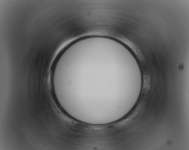 X0000102471078200808081004